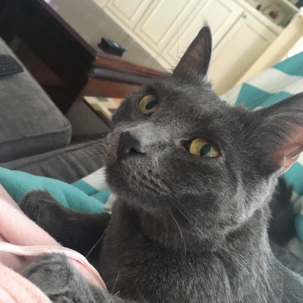 Meet your Posher, Ana